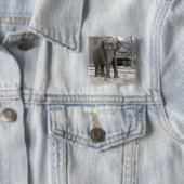 ELEPHANT BUTTON (Beispiel)
