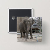 ELEPHANT BUTTON (Vorne & Hinten)