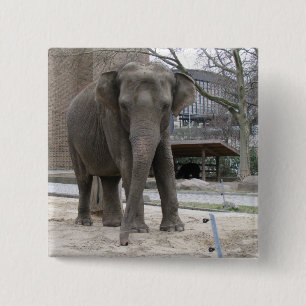 ELEPHANT BUTTON