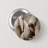 ELEPHANT BUTTON (Vorne & Hinten)