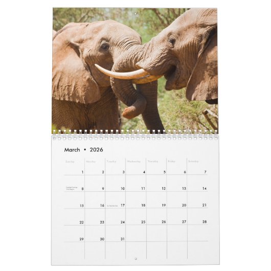 Elephant Calendar Kalender (Mär 2026)