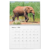 Elephant Calendar Kalender (Feb 2026)
