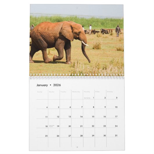 Elephant Calendar Kalender (Jan 2026)