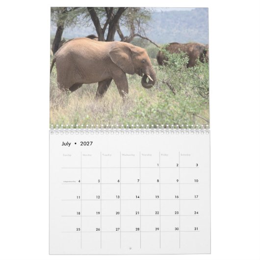 Elephant Calendar Kalender (Jul 2027)