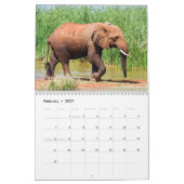 Elephant Calendar Kalender (Feb 2027)