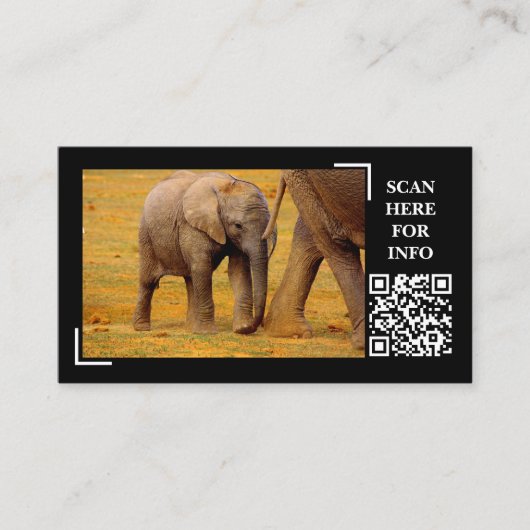 Elephant Calf Wildlife Fotografy Custom Visitenkarte (Vorderseite)