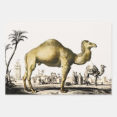 Elephant, Camel und Leopard von D'Orbigny Geschenkpapier Set (Vorderseite 2)