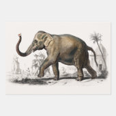 Elephant, Camel und Leopard von D'Orbigny Geschenkpapier Set (Vorderseite)