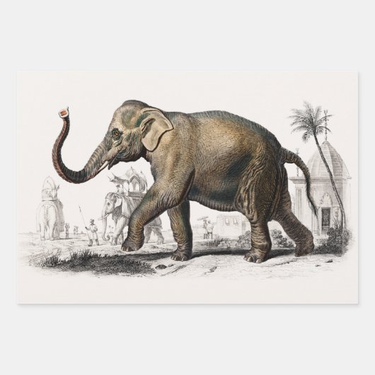 Elephant, Camel und Leopard von D'Orbigny Geschenkpapier Set (Vorderseite)