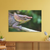 Elephant Chameleon, Madagaskar Leinwanddruck (Insitu (Wohnzimmer))