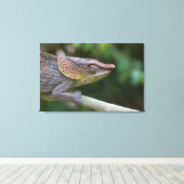 Elephant Chameleon, Madagaskar Leinwanddruck (Insitu (Holzboden))