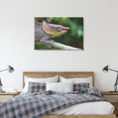 Elephant Chameleon, Madagaskar Leinwanddruck (Insitu (Schlafzimmer))