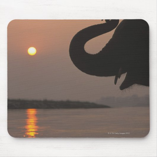 Elephant, Chitwan National Park, Nepal Mousepad (Vorne)