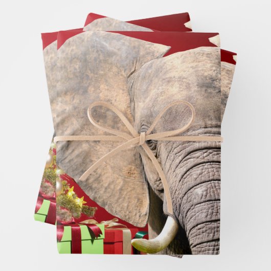 Elephant Christmas Greetings Geschenkpapier Set (Beispiel)