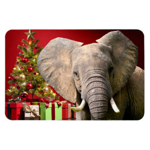 Elephant Christmas Greetings Magnet