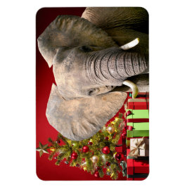 Elephant Christmas Greetings Magnet