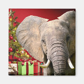 Elephant Christmas Greetings Magnet (Vorne)
