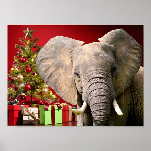 Elephant Christmas Greetings Poster (Vorne)