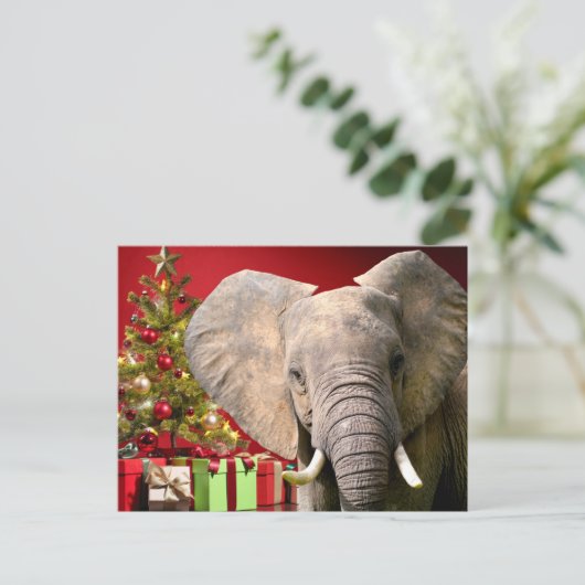 Elephant Christmas Greetings Postkarte (Stehend Vorderseite)