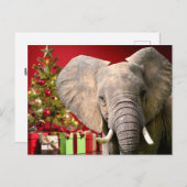 Elephant Christmas Greetings Postkarte (Vorne/Hinten)