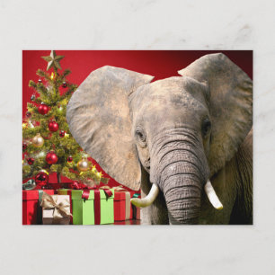 Elephant Christmas Greetings Postkarte