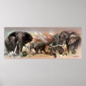 Elephant Collection Poster (Vorne)