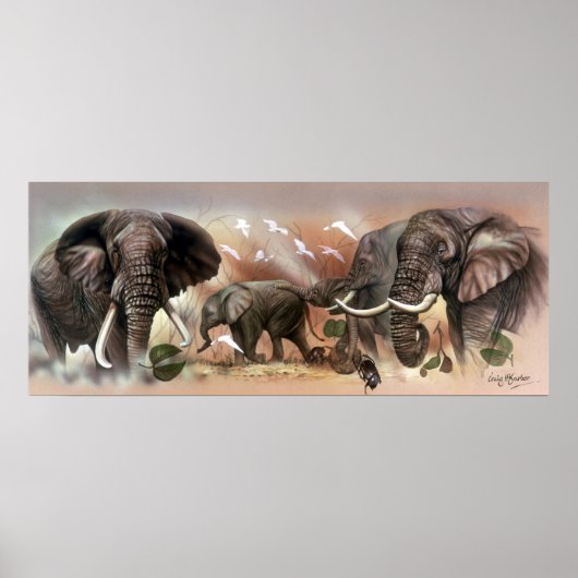 Elephant Collection Poster (Vorne)