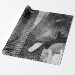 ELEPHANT COUPLE GESCHENKPAPIER