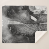 ELEPHANT COUPLE SHERPADECKE (Vorderseite (Horizontal))