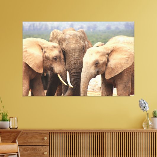 Elephant cuddle Leinwand Gerahmt (Insitu (Wohnzimmer))