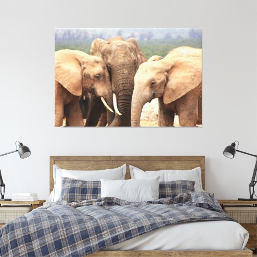 Elephant cuddle Leinwand Gerahmt (Insitu (Schlafzimmer))