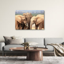 Elephant cuddle Leinwand Gerahmt
