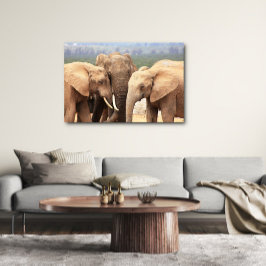 Elephant cuddle Leinwand Gerahmt