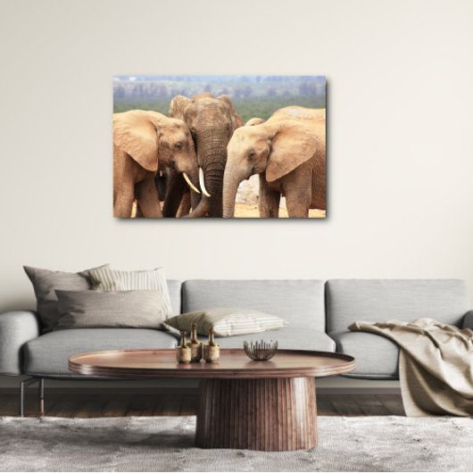Elephant cuddle Leinwand Gerahmt