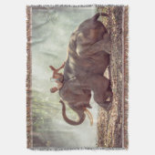 Elephant Decke (Vorderseite Vertikal)