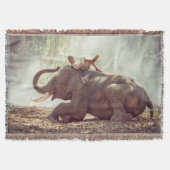 Elephant Decke (Vorderseite)