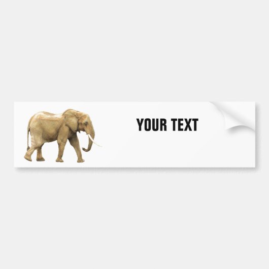 Elephant deinen Text "Folio Condensec" auf Weiß Autoaufkleber (Vorne)