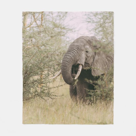ELEPHANT, DER VON EINEM BAUM ESSEN WIRD FLEECEDECKE (Vorderseite)