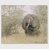 ELEPHANT, DER VON EINEM BAUM ESSEN WIRD GESCHENKPAPIER (Flach)