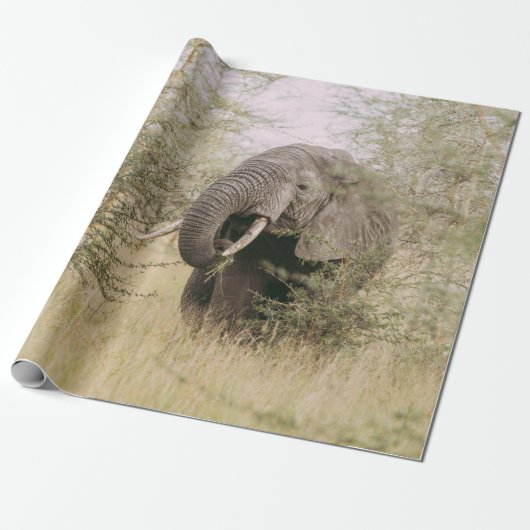 ELEPHANT, DER VON EINEM BAUM ESSEN WIRD GESCHENKPAPIER (Ungerollt)