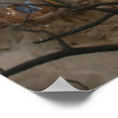 Elephant des Museums für Naturgeschichte Poster (Ecke)