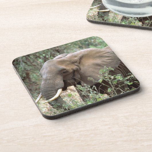 Elephant Drink Untersetzer (Linke Seite)