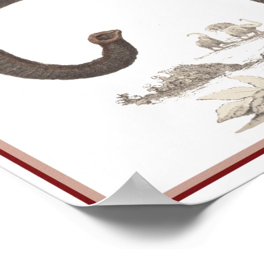 ELEPHANT DRINT POSTER (Ecke)