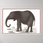 ELEPHANT DRINT POSTER (Vorne)
