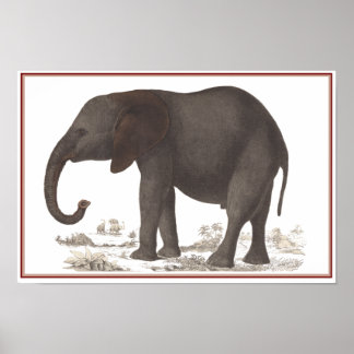 ELEPHANT DRINT POSTER