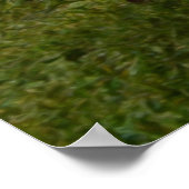 Elephant Duo Ölfarbe, Poster (Ecke)