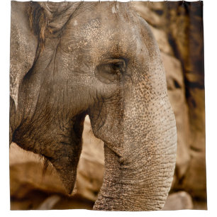 ELEPHANT DUSCHVORHANG