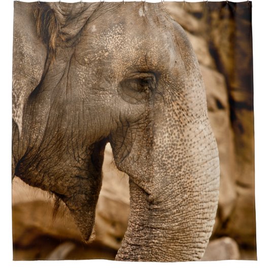 ELEPHANT DUSCHVORHANG (Vorderseite)