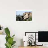 Elephant Eating, Südafrika Poster (Heimbüro)