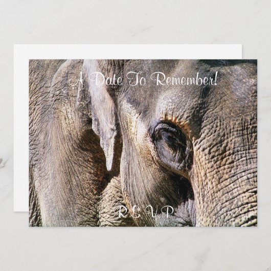 ELEPHANT EINLADUNG (Vorne/Hinten)